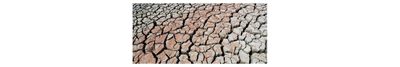 canicule